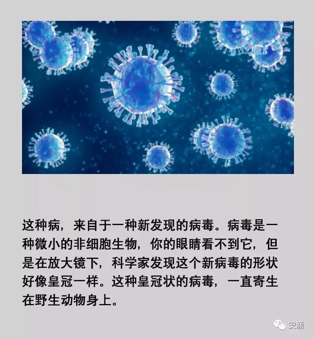 【寶雞seo】寫給孩子們的“冠狀病毒”繪本，用它解釋正在發生..